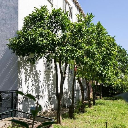 Apartment Blue & Green Ragusa Esterno foto
